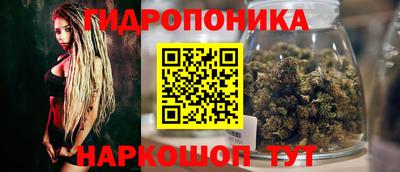 spice Свободный