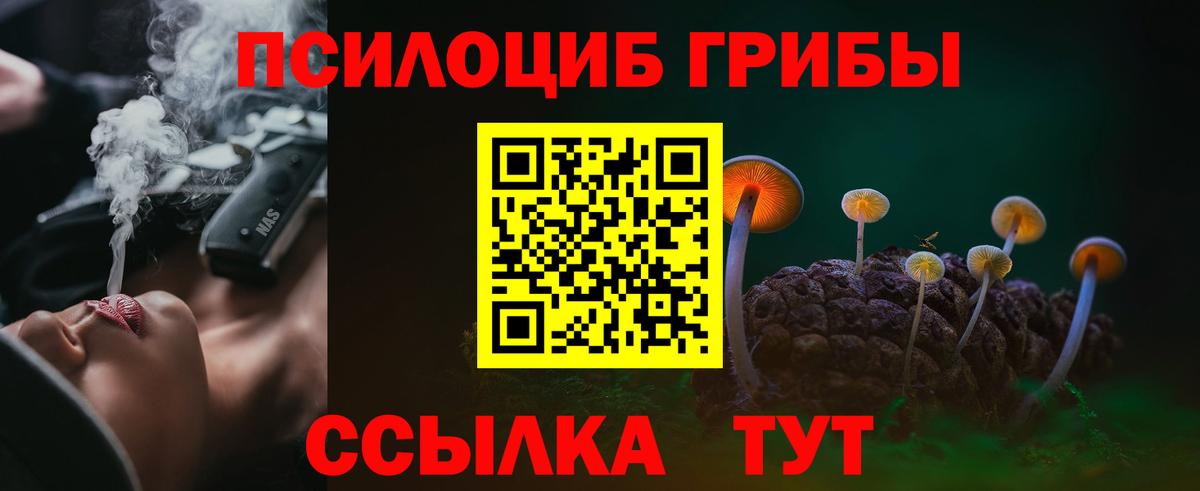Сегежа  Псилоцибиновые грибы GOLDEN TEACHER  Псилоцибиновые грибы Cubensis  Вход с VPN 